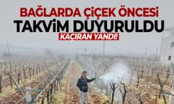 Manisa bağlarında kritik dönem: Çiçek öncesi ilaçlama takvimi açıklandı