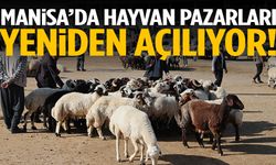 Manisa’da hayvan pazarları yeniden açılıyor!