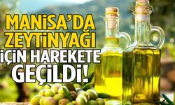 Manisa’da zeytinyağı için harekete geçildi!
