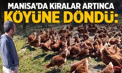 Manisa’da kiralar artınca köye döndü: Gezen tavuk çiftliği kurdu!