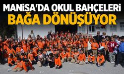 Manisa'da okul bahçeleri bağa dönüştü