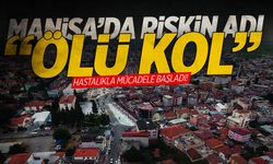 Manisa’da ‘ölü kol’ hastalığı… Mücadele başladı!