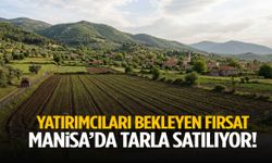 Manisa’da yatırımcıları bekleyen fırsat: Tarla satılıyor!