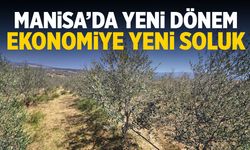 Manisa'da yeni trend! Ekonomiye yeni soluk getirdi