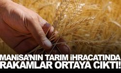 Manisa’nın tarım ihracatında rakamlar ortaya çıktı!