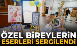 Özel bireylerin eserleri sergilendi