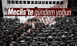Meclis'te gündem yoğun olacak!