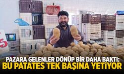 Pazara gelenler dönüp bir daha baktı: Bu patates tek başına yetiyor