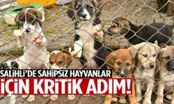 Salihli’de sahipsiz hayvanlar için kritik adım!