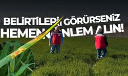 Salihli'ye uyarı! Belirtileri görür görmez önlem alın