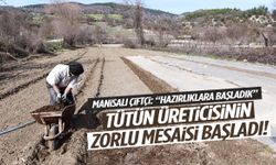 Selendi’de tütün sezonu hummalı başladı!