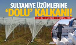 Sultaniye üzümlerine ‘dolu’ kalkanı!