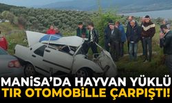 Manisa’da canlı hayvan yüklü tır ile otomobil çarpıştı!