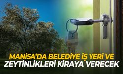 Manisa’da belediye iş yeri ve zeytinlikleri kiraya verecek!