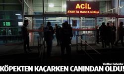 Köpekten kaçarken hayatını kaybetti