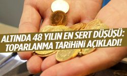 Altında 48 yılın en sert düşüşü: Uzman isim toparlanma tarihini açıkladı