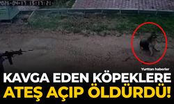 Kavga eden köpeklere ateş açıp öldürdü!