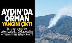 Aydın'da orman yangını çıktı!