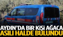 Aydın’da bir kişi ağaca asılı halde bulundu