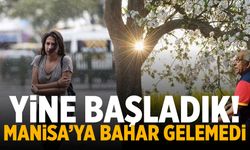 Bahar Manisa'ya gelemedi! Yine başlıyoruz...