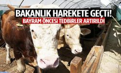 Bakanlık harekete geçti! Bayram öncesi tedbirler artırıldı