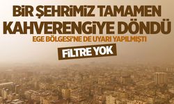 Bir şehrimiz tamamen kahverengiye döndü