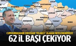 Cumhurbaşkanı 'felaket' olarak nitelendirmişti! 62 il başı çekiyor...