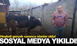 Ege’de sosyal medyayı sallayan görüntü... Heykeli gerçek sanınca olanlar oldu!