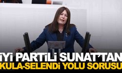 İYİ Partili Sunat’tan Selendi–Kula yolu için soru önergesi