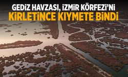 İzmir Körfezi için bir Gediz çağrısı daha