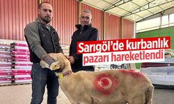 Kurbanlık pazarları hareketlendi