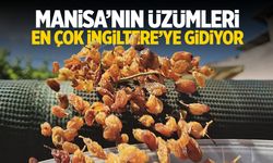 Kuru üzüm 107 milyon dolar kazandırdı