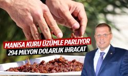 Kuru üzümün merkezi Manisa’dan 294 milyon dolarlık ihracat!