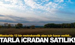 Manisa’da 12 bin metrekarelik tarla icradan satılıyor!