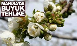 Manisa’da büyük tehlike: Üreticiyi vuracak hastalık için alarm verildi!