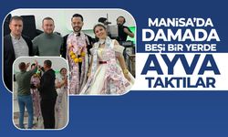 Manisa'da damada ayva taktılar