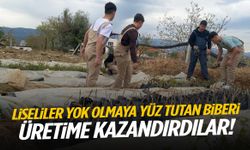 Manisa’da liseliler yok olmaya yüz tutan biberi üretime kazandırdılar!