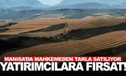 Manisa’da mahkemeden tarla satılıyor... 74 dönümlük arazinin fiyatı belli oldu!