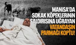 Manisa'da sokak köpeklerinin saldırısına uğrayan vatandaşın parmağı koptu
