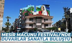 Mesir Macunu Festivali duvarlara taştı