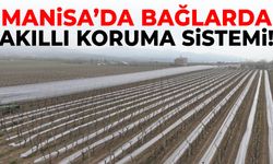 Manisa’da bağlarda akıllı koruma sistemi!