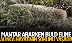 Mantar ararken bulduğu şey hayatının şokunu yaşattı!