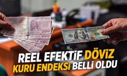 Merkez Bankası yayımladı: Döviz kuru endeksi belli oldu