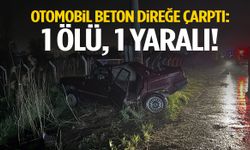 Otomobil beton direğe çarptı: 1 ölü, 1 yaralı
