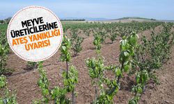 Salihlili meyve üreticilerine ateş yanıklığı uyarısı