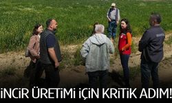 Manisa’da verimlilik için harekete geçildi