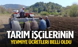 Selendi’de tarım işçilerinin yevmiye ücretleri belli oldu