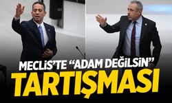 TBMM'de 'adam değilsin' tartışması