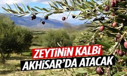 Zeytinin kalbi Akhisar’da atacak! Çalıştay başlıyor