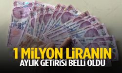1 milyon liranın aylık getirisi belli oldu